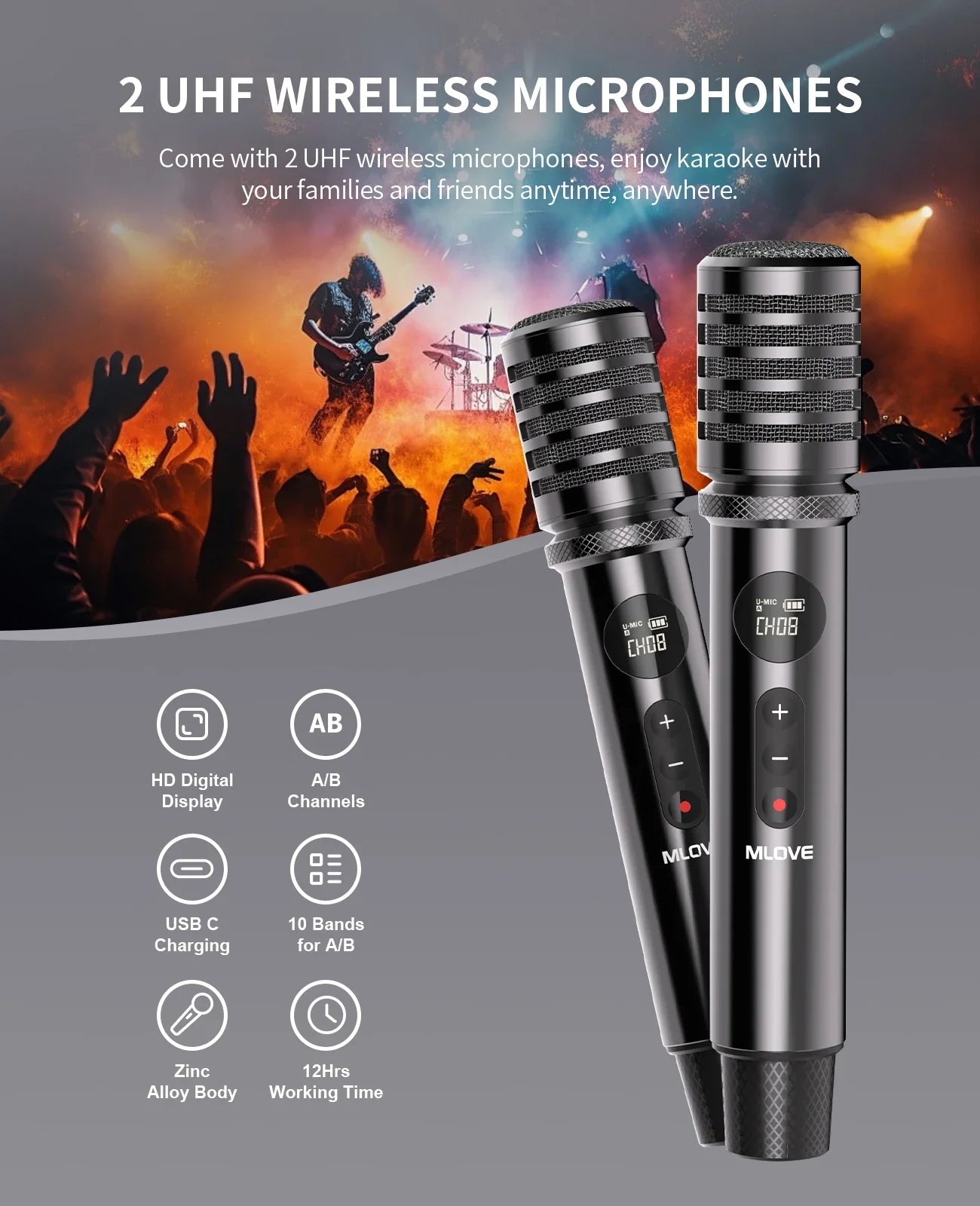 D5 Professional Karaoke Machine for Adults with Bluetooth and 2 Wireless Microphones, Portable PA System Speaker, Recording