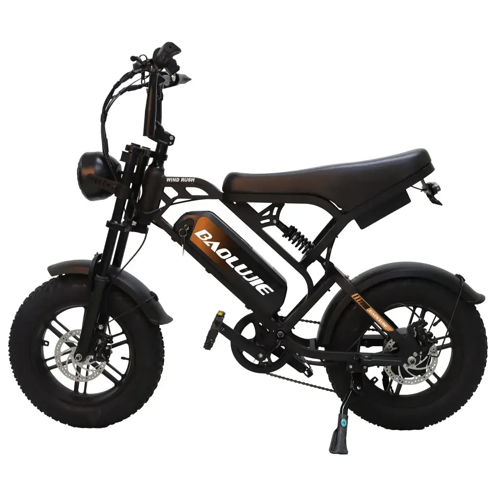 DM01 2000W Moto Electric Bicycle 60V30AH Battery Color Display 42 MPH E Bike UL2849